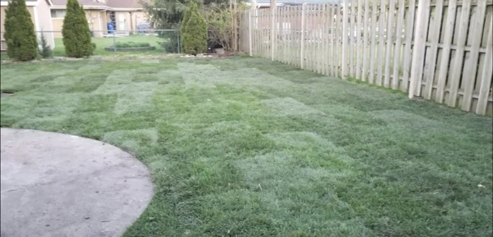 Local lawn care service for residential properties in Mount Prospect, IL by REM Landscaping Group