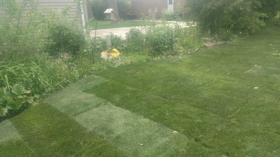 Trusted landscape design in Mount Prospect, IL by REM Landscaping Group