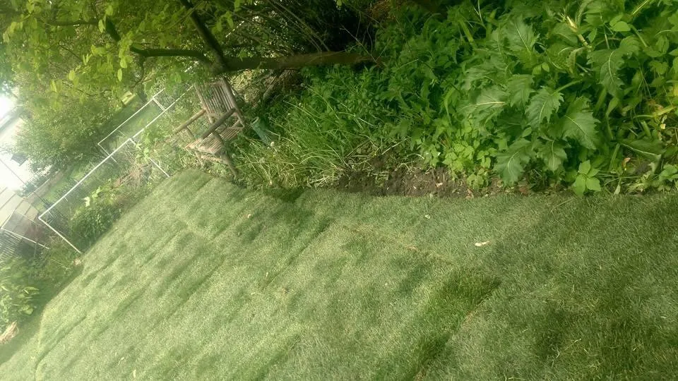 Custom yard maintenance for homes across Mount Prospect, IL - REM Landscaping Group