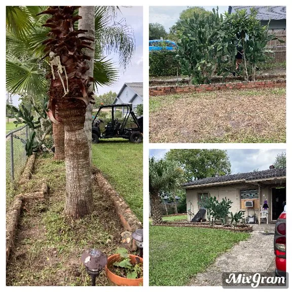 Expert lawn care service for year-round maintenance in Geneva, FL by Remarkable Aspects