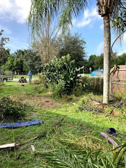 Local landscaping services in Geneva, FL - Remarkable Aspects