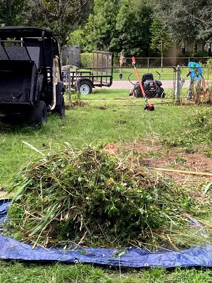 Affordable residential landscaping experts serving Geneva, FL - Remarkable Aspects