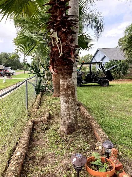 Reliable landscape installation for beautiful yards across Geneva, FL - Remarkable Aspects