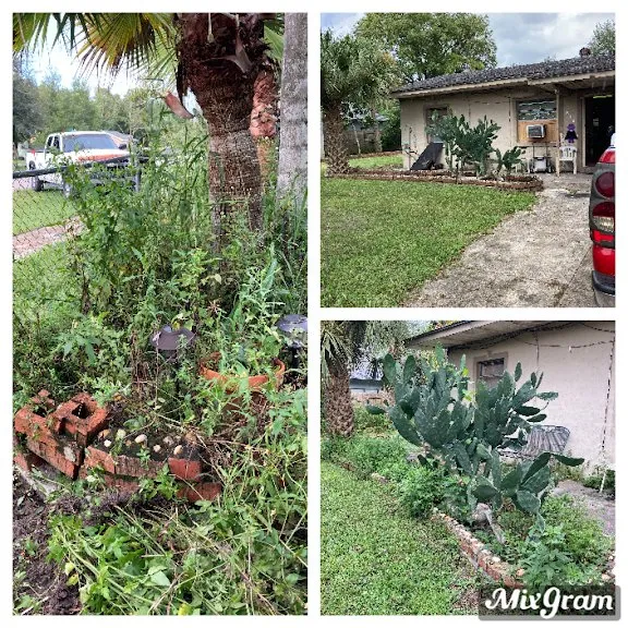 Professional outdoor landscaping for outdoor upgrades across Geneva, FL - Remarkable Aspects