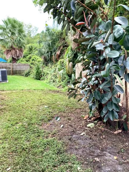 Affordable lawn care service with custom design across Geneva, FL - Remarkable Aspects