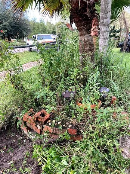 Top-rated landscaping services experts serving Geneva, FL - Remarkable Aspects