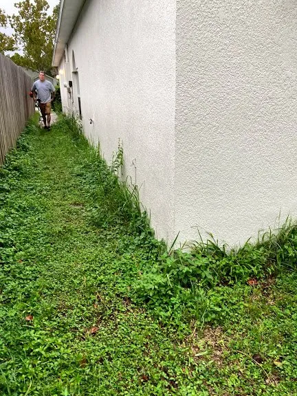 Top-rated outdoor landscaping in Geneva, FL - Remarkable Aspects