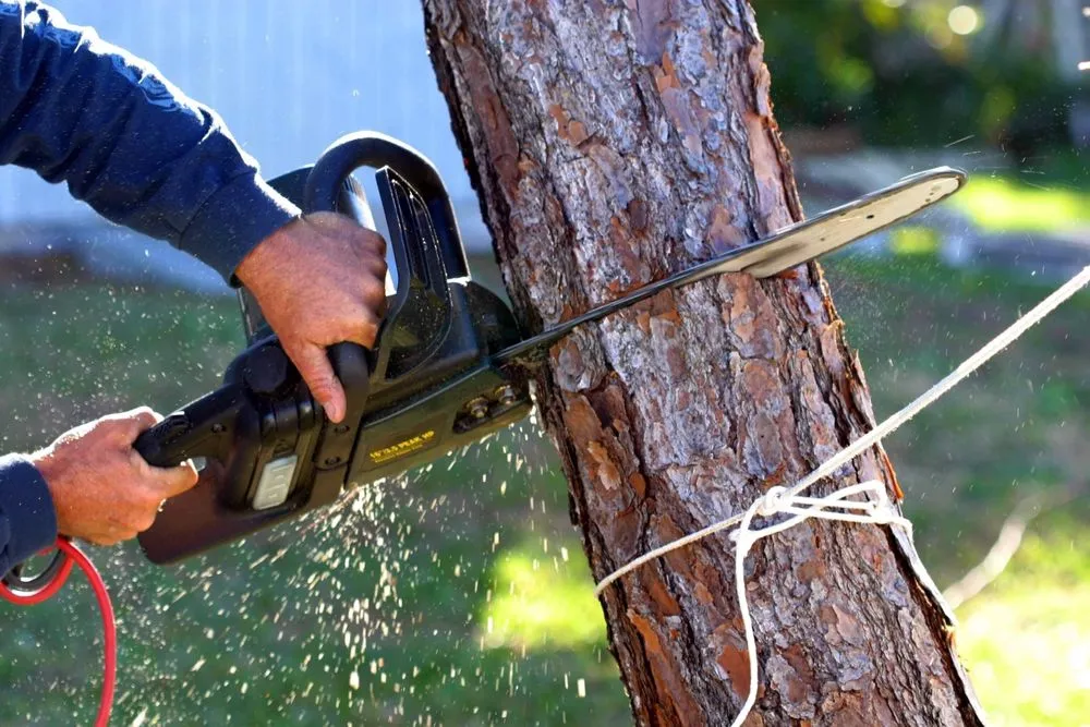 Affordable yard cleanup service for residential properties in Germansville, PA by Remcam Enterprises