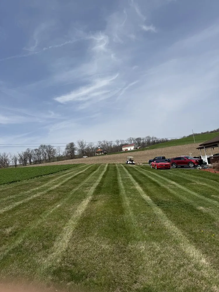 Local yard cleanup service in Germansville, PA by Remcam Enterprises