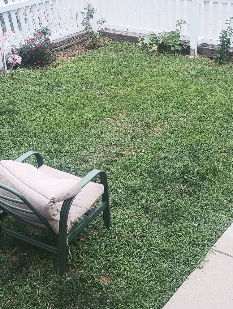 Top-rated landscaping services in Omaha, NE by Remedios Landscaping and More