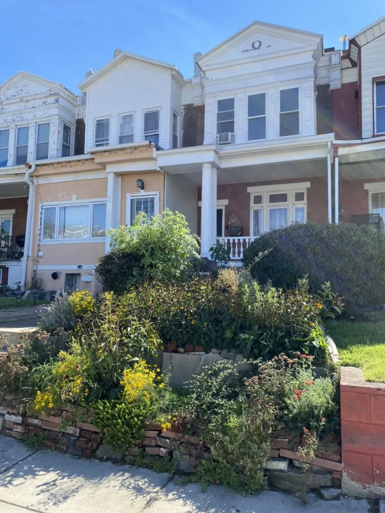 Local yard maintenance experts serving Philadelphia, PA - Remick Native Landscapes