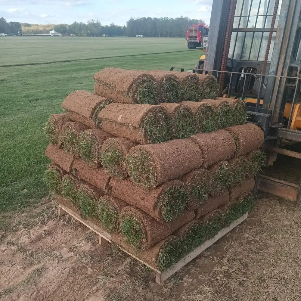 Local residential landscaping for year-round maintenance in Remington, VA by Remington Turf