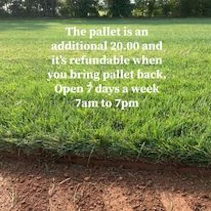 Reliable outdoor landscaping in Remington, VA by Remington Turf