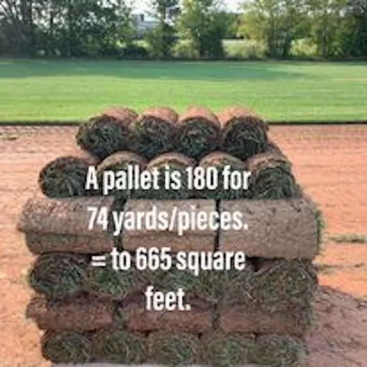 Local yard maintenance for residential properties in Remington, VA by Remington Turf