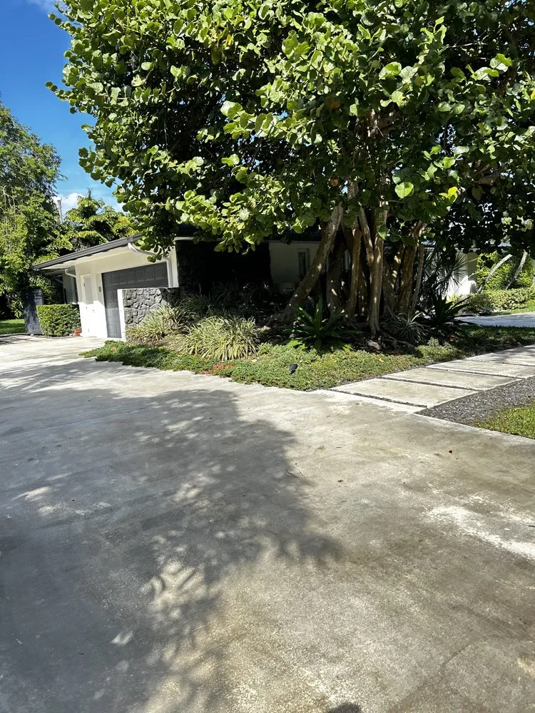 Professional lawn mowing service in Miami, FL by Remodeling And More For You