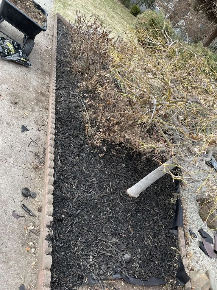 Local yard cleanup service for homes in Spokane, WA by Removal & Restorations