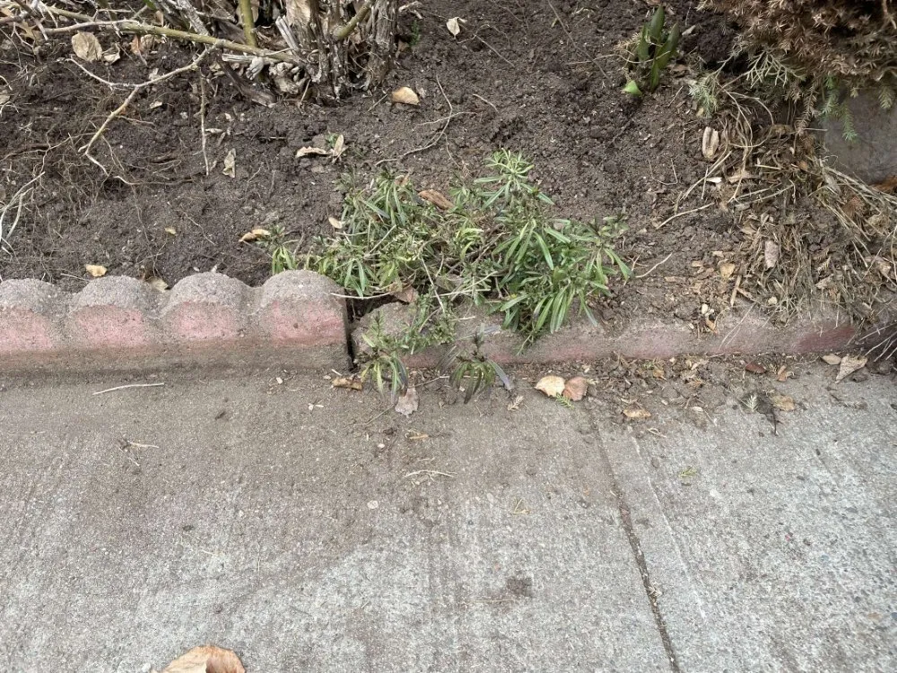 Reliable landscaping services for homes in Spokane, WA by Removal & Restorations