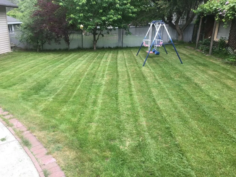Custom lawn care service in Spokane, WA - Removal & Restorations