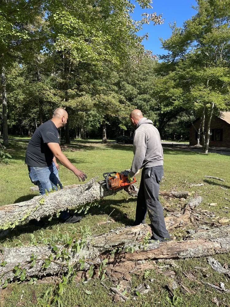 Custom landscape installation in Hughesville, MD - Renaissance Man