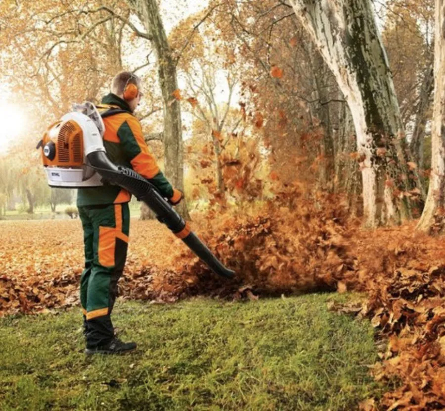 Local garden landscaping in Hughesville, MD - Renaissance Man
