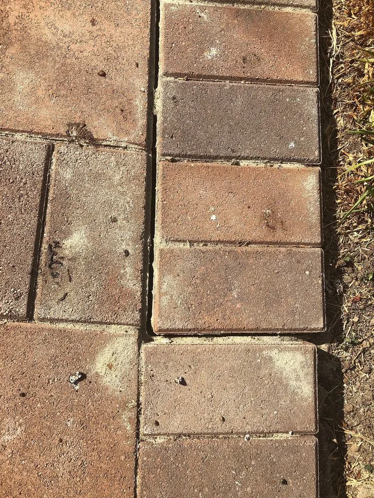 Expert landscape installation experts serving San Dimas, CA - Renaissance Paving