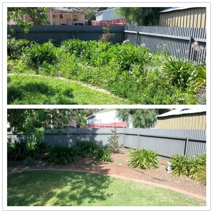 Affordable yard maintenance in Guilderland, NY by Renan Henrique Services