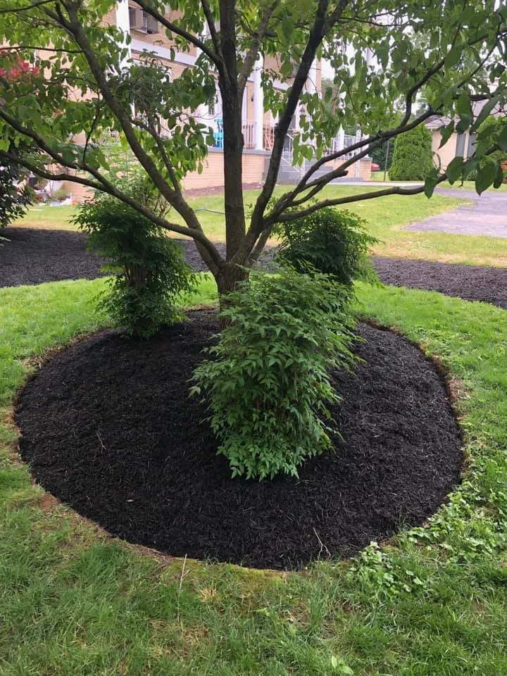 Reliable garden landscaping for year-round maintenance across New Cumberland, PA - Rende Landscaping & Masonry