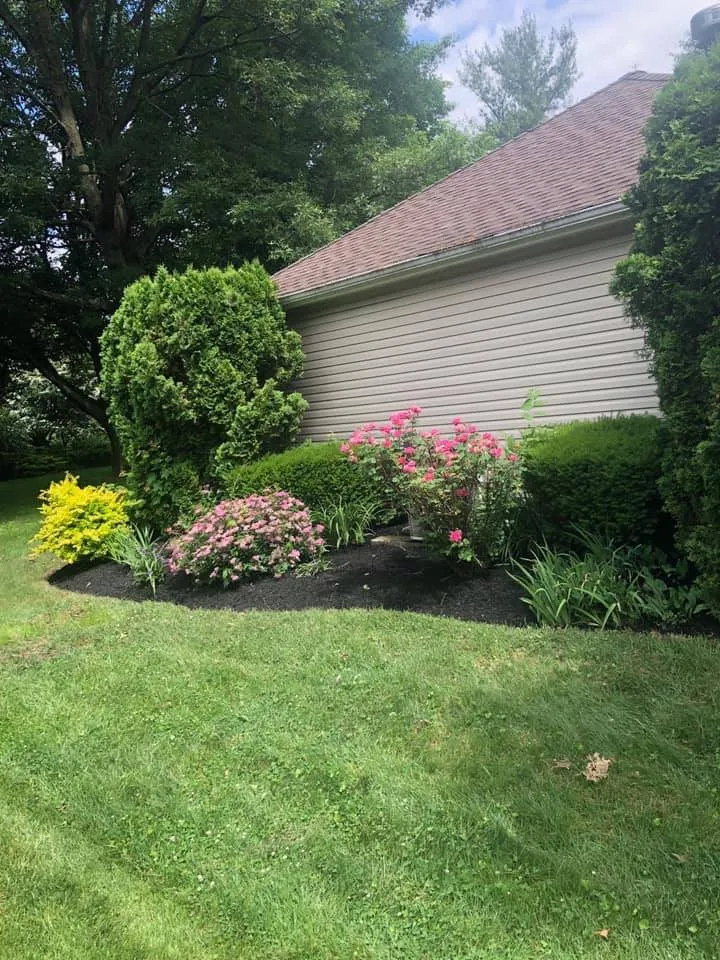 Reliable yard cleanup service in New Cumberland, PA by Rende Landscaping & Masonry