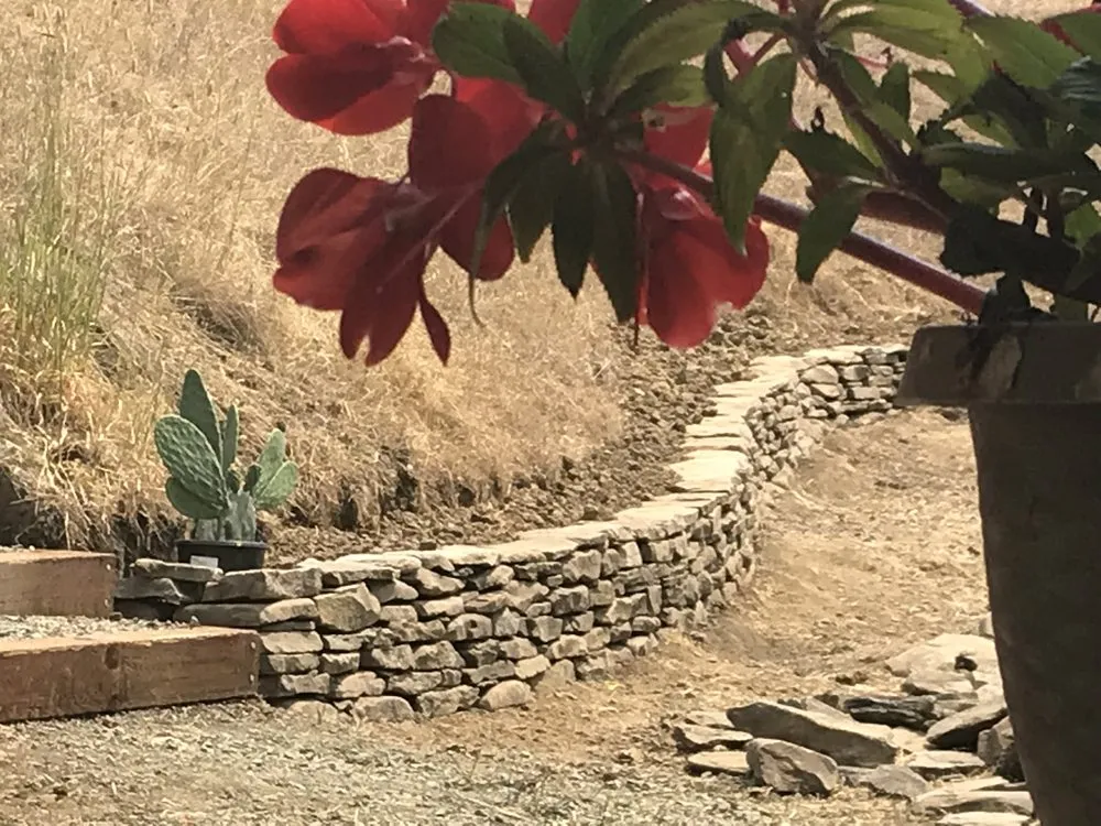 Expert lawn care service in Berkeley, CA by Rendered Stone