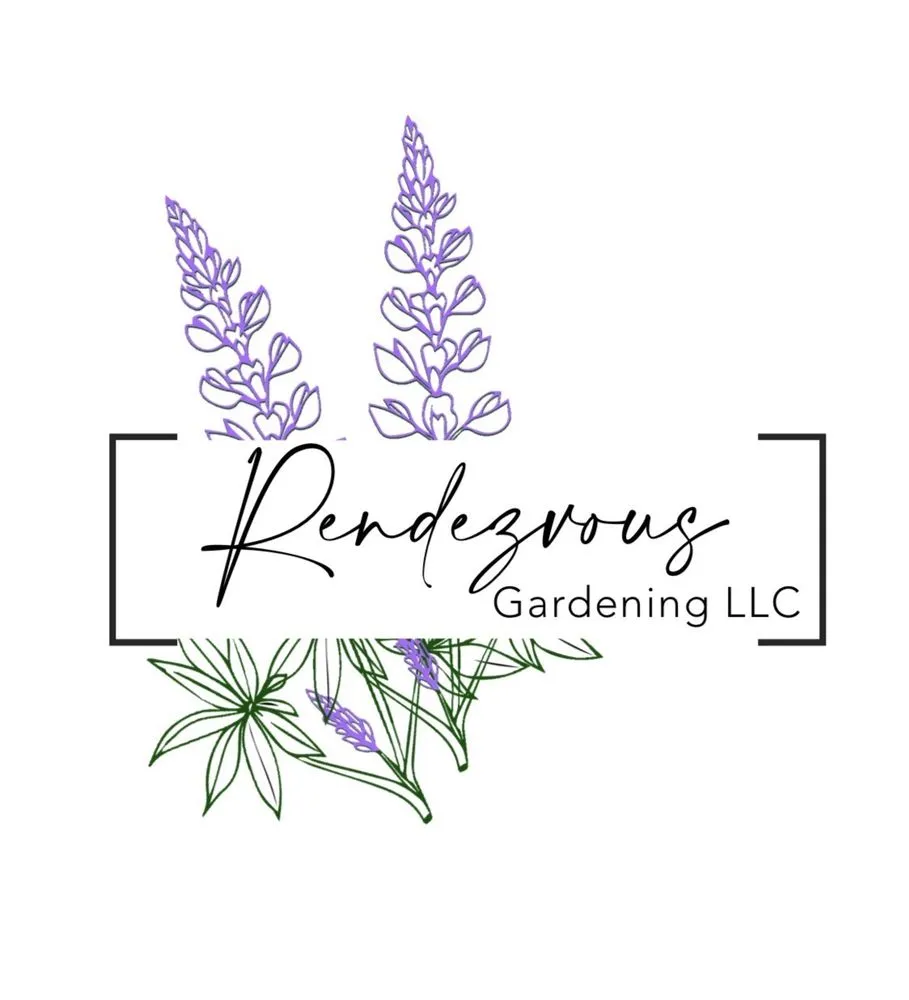 Custom yard cleanup service in Victor, ID by Rendezvous Gardening