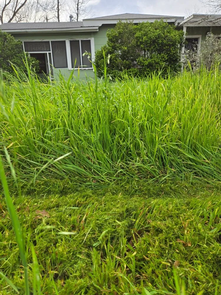 Professional outdoor landscaping for residential properties across Austin, TX - Rendon & Rendon Lawncare