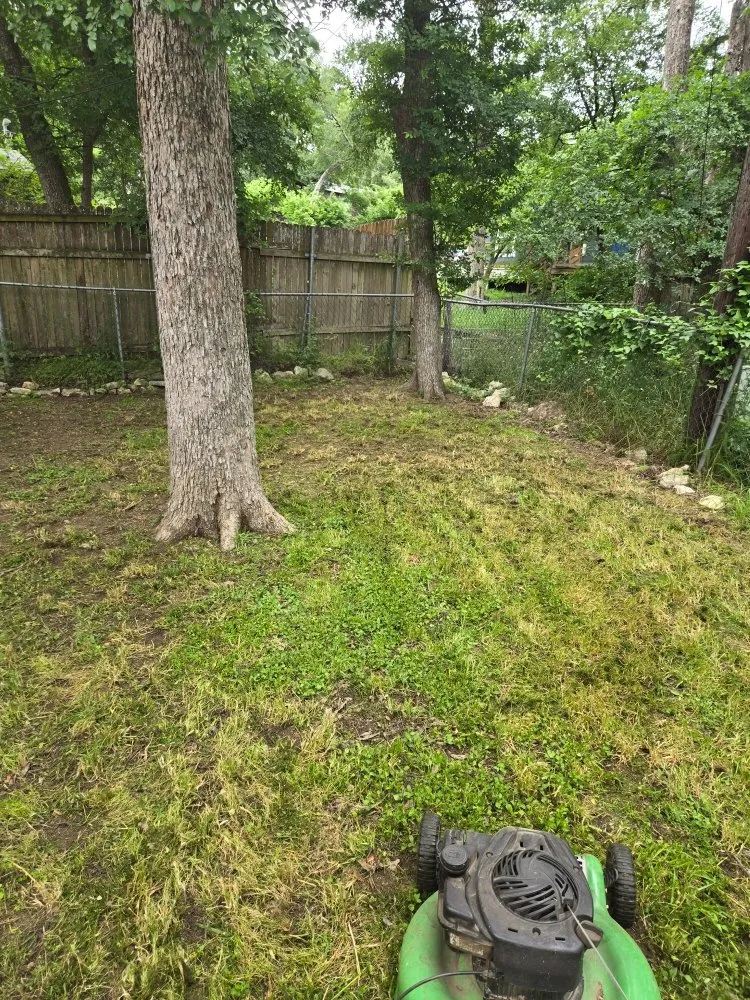 Local landscaping services for homes in Austin, TX by Rendon & Rendon Lawncare