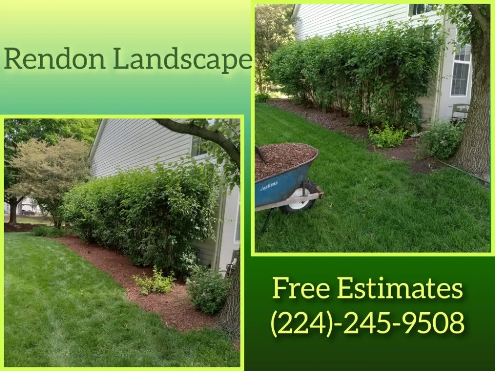 Local yard maintenance experts serving Elgin, IL - Rendon Landscape