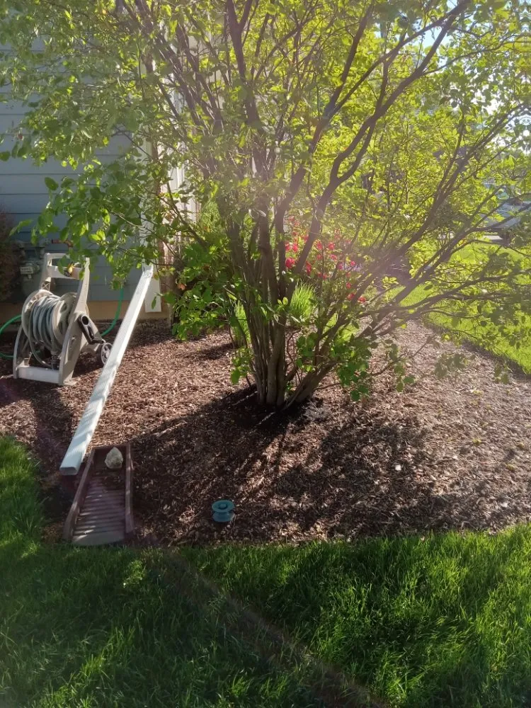 Local yard cleanup service for beautiful yards across Elgin, IL - Rendon Landscape