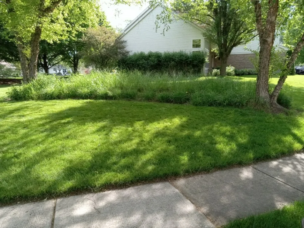 Top-rated yard cleanup service experts serving Elgin, IL - Rendon Landscape