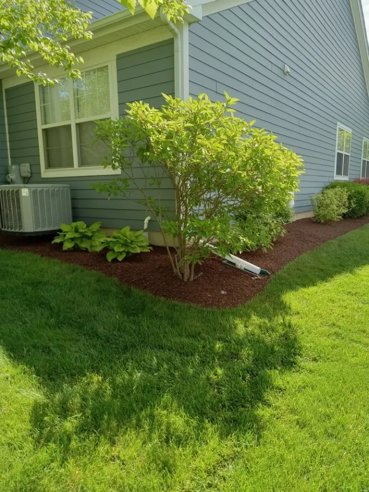 Local lawn mowing service in Elgin, IL by Rendon Landscape
