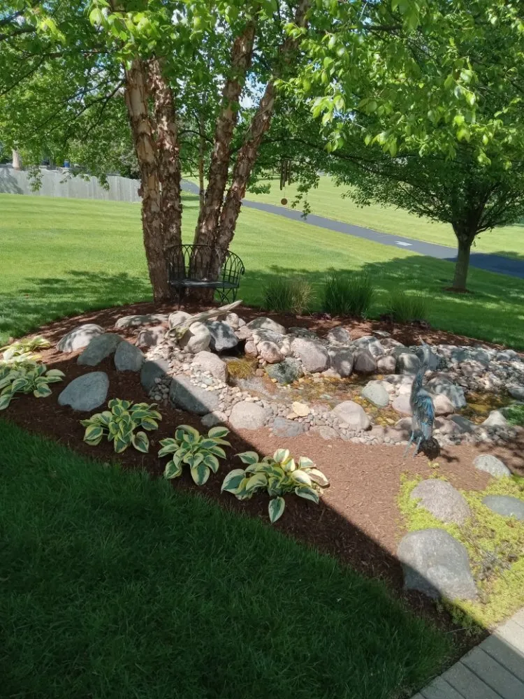 Expert yard cleanup service in Elgin, IL by Rendon Landscape