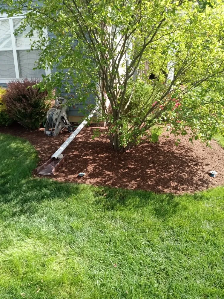 Trusted yard cleanup service experts serving Elgin, IL - Rendon Landscape