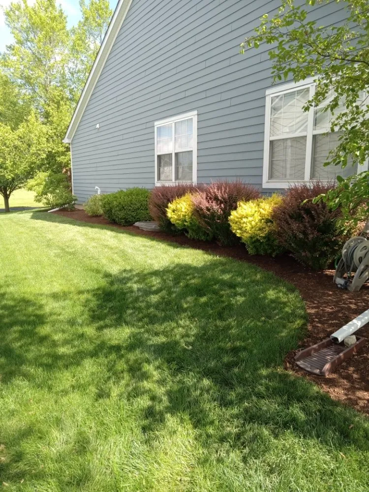 Affordable landscaping services for outdoor upgrades across Elgin, IL - Rendon Landscape