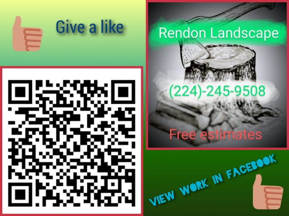 Reliable outdoor landscaping for outdoor upgrades across Elgin, IL - Rendon Landscape