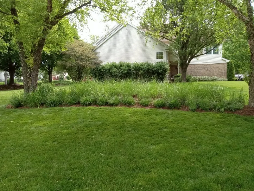 Reliable garden landscaping for year-round maintenance across Elgin, IL - Rendon Landscape