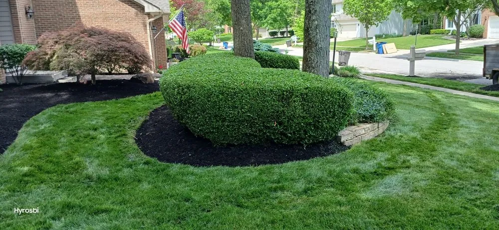 Reliable residential landscaping in Lincoln Village, OH by Rendon Landscaping Maintenance