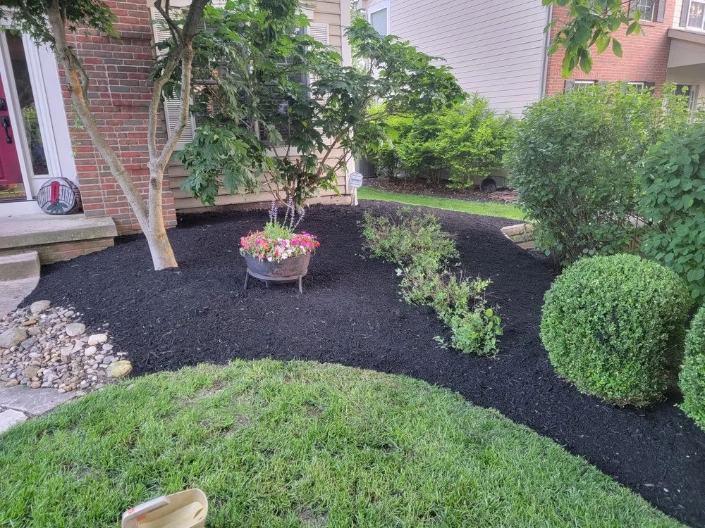 Local yard maintenance in Lincoln Village, OH by Rendon Landscaping Maintenance