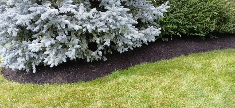 Trusted yard maintenance experts serving Lincoln Village, OH - Rendon Landscaping Maintenance