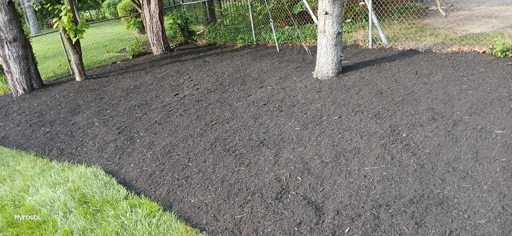 Top-rated landscape design near you across Lincoln Village, OH - Rendon Landscaping Maintenance