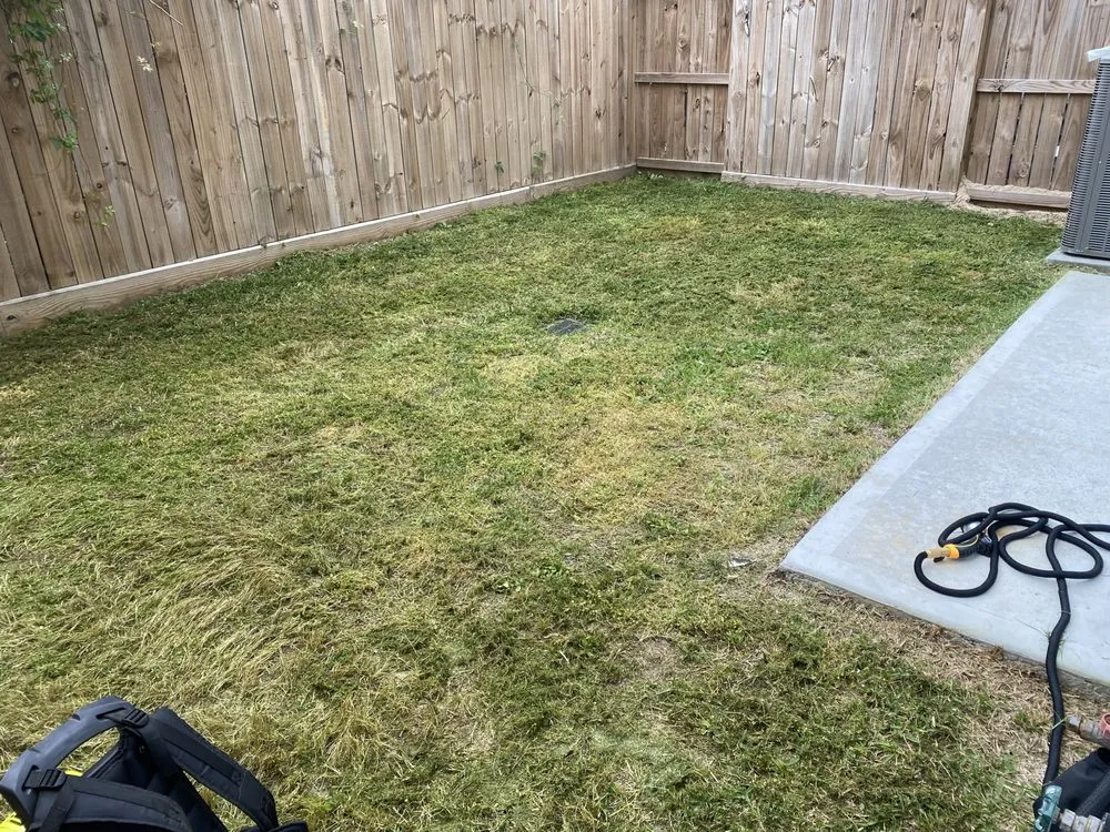 Custom yard maintenance for homes across Pasadena, TX - Rendon Lawn Care