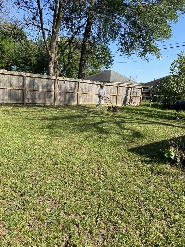 Trusted yard cleanup service in Pasadena, TX by Rendon Lawn Care