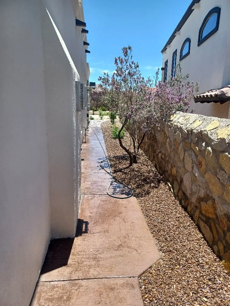 Local yard cleanup service for outdoor upgrades in El Paso, TX by Rendon's Landscape & Yard Maintenance