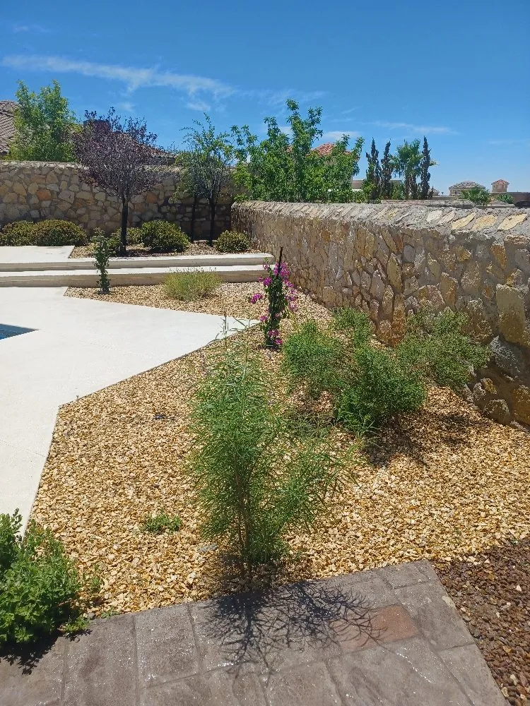 Top-rated residential landscaping in El Paso, TX by Rendon's Landscape & Yard Maintenance