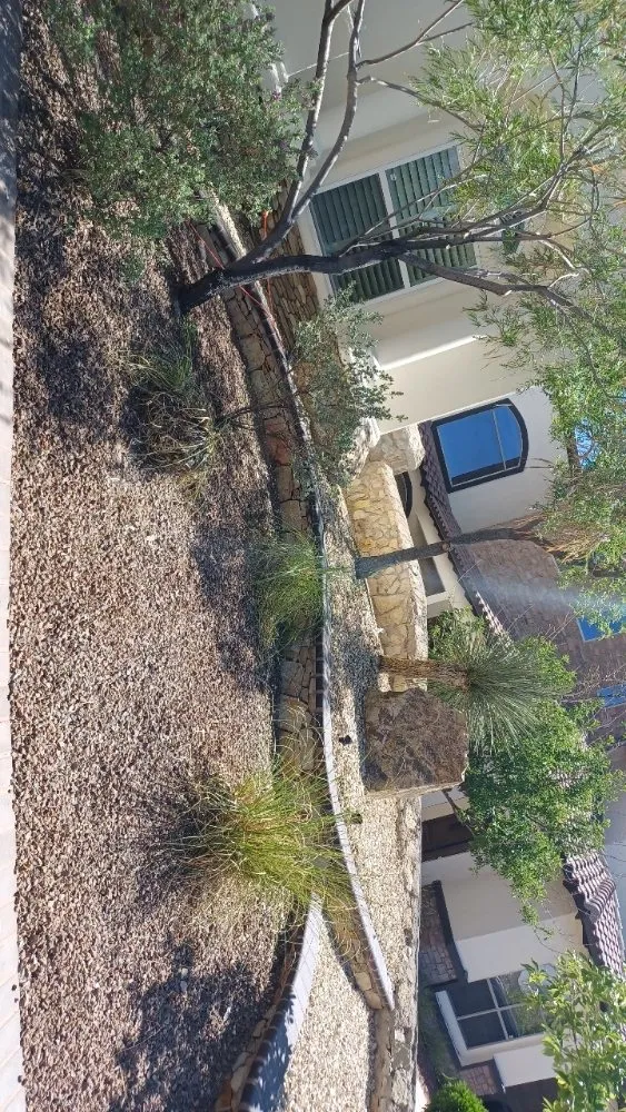 Expert residential landscaping in El Paso, TX - Rendon's Landscape & Yard Maintenance